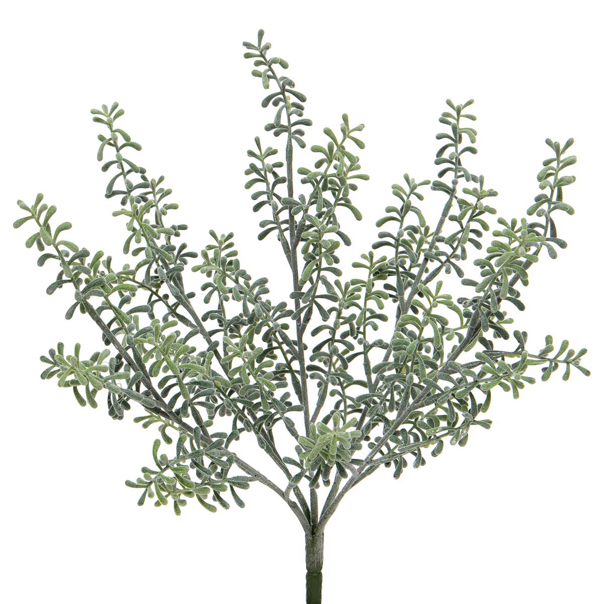 !Succulent Bush 11"x15" Green ff50